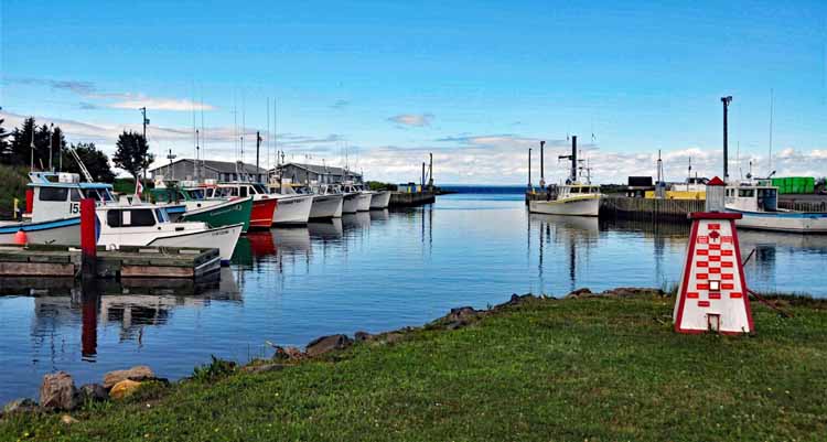 harbor scene
